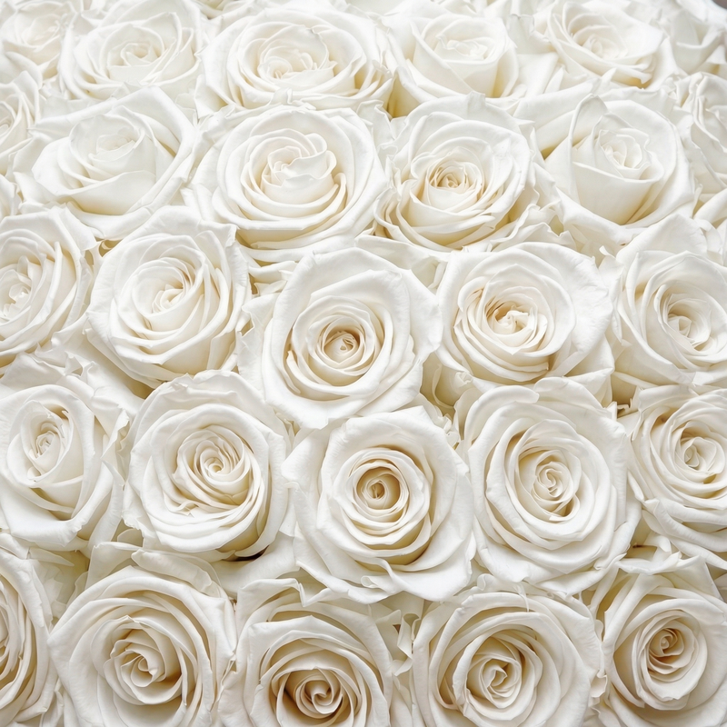 Rosenbouquets