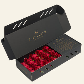 Small Red - "Emilia"