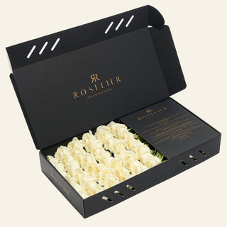 Large White - "Arya"