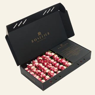 Large Soft Blush - "Blush"