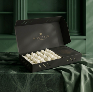 Arya – Classic Box