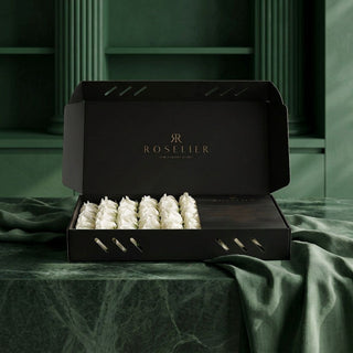 Arya – Classic Box