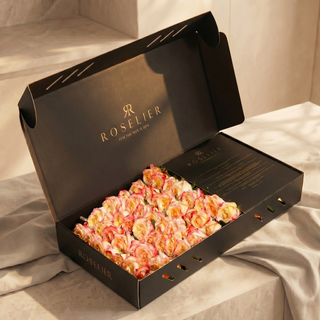 Apriko – Classic Box