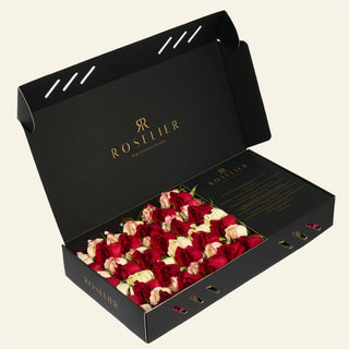 Large Colorful - "Dream"