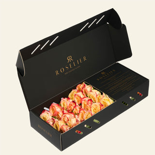 X-Small Apriko - "Peachy"