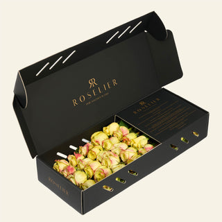 X-Small Lime Blush - "Lemon"